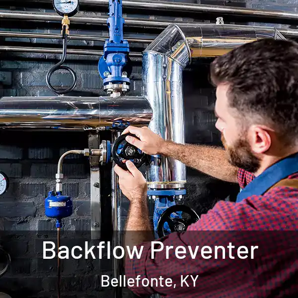  Backflow Preventer Bellefonte, KY