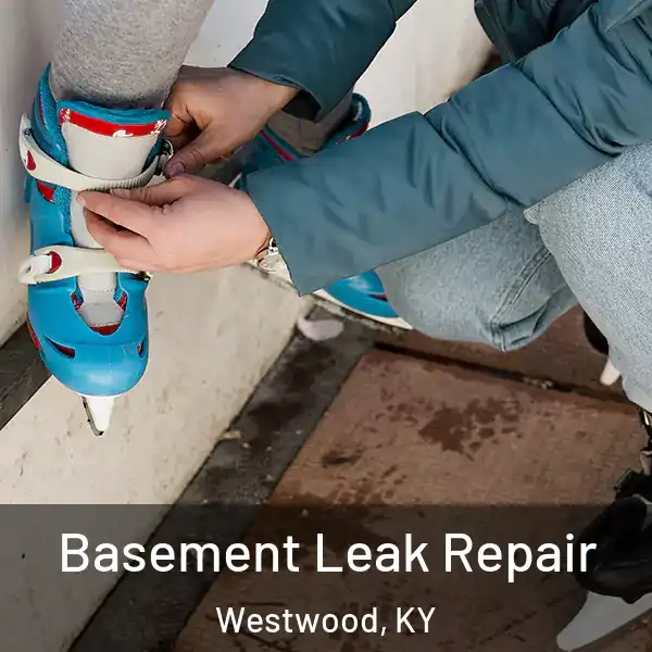  Basement Leak Repair Westwood, KY