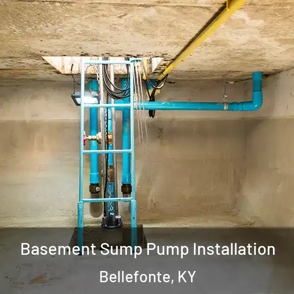  Basement Sump Pump Installation Bellefonte, KY