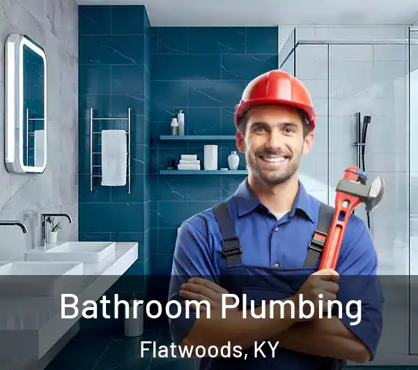  Bathroom Plumbing Flatwoods, KY