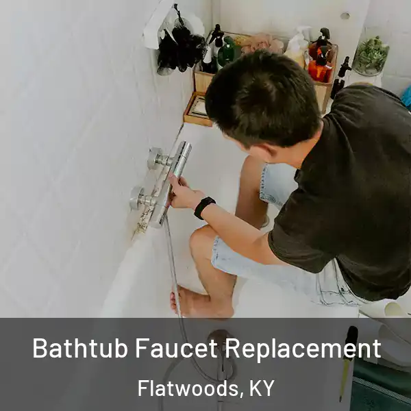  Bathtub Faucet Replacement Flatwoods, KY