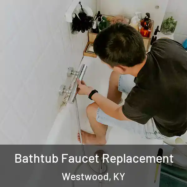 Bathtub Faucet Replacement Westwood, KY