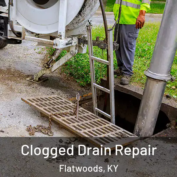  Clogged Drain Repair Flatwoods, KY