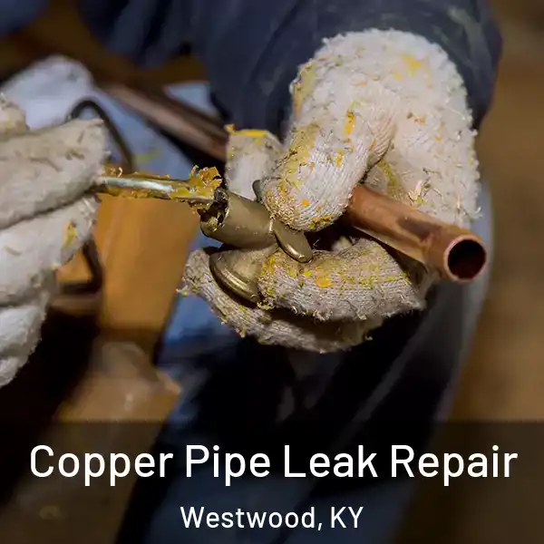  Copper Pipe Leak Repair Westwood, KY