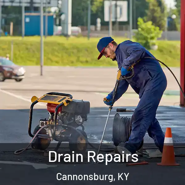  Drain Repairs Cannonsburg, KY