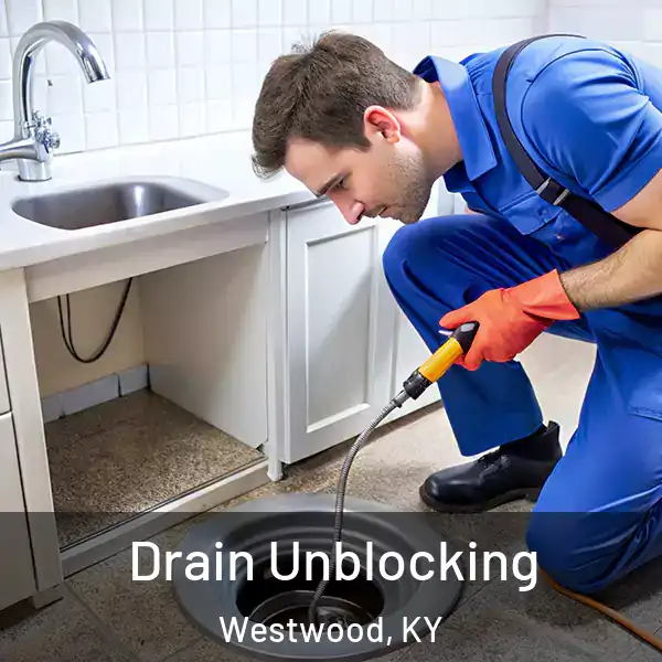  Drain Unblocking Westwood, KY