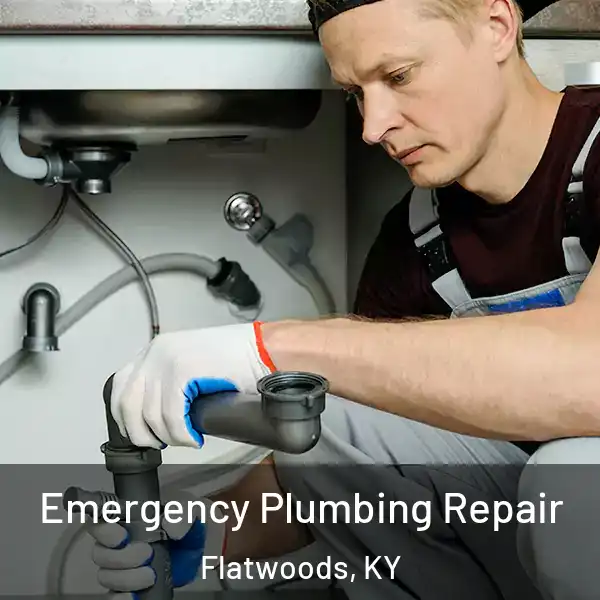  Emergency Plumbing Repair Flatwoods, KY