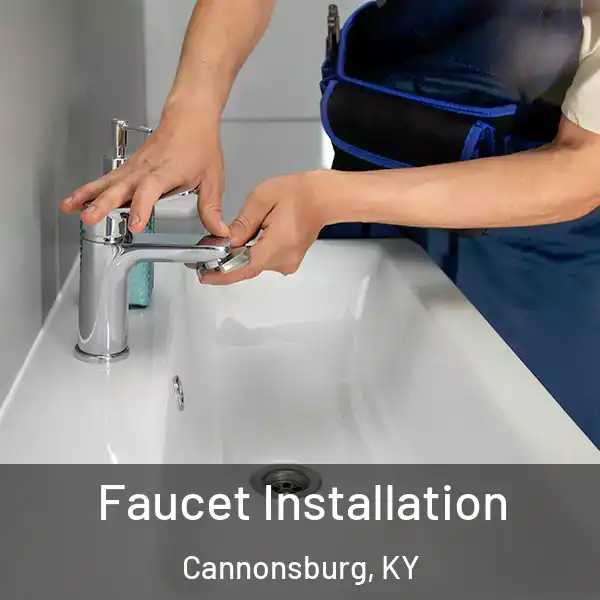  Faucet Installation Cannonsburg, KY