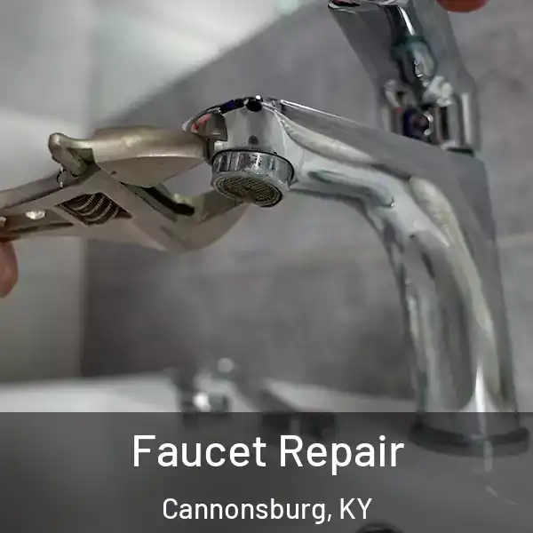  Faucet Repair Cannonsburg, KY
