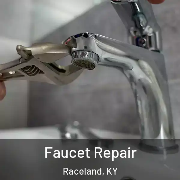  Faucet Repair Raceland, KY