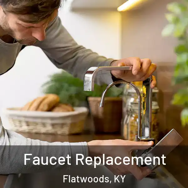  Faucet Replacement Flatwoods, KY