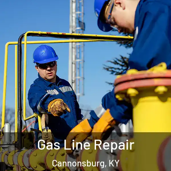  Gas Line Repair Cannonsburg, KY