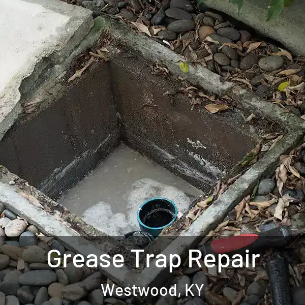  Grease Trap Repair Westwood, KY