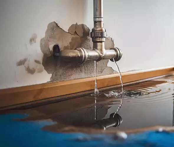 Professional Water Damage Restoration Experts in Ashland, KY — Fast, Reliable & Certified