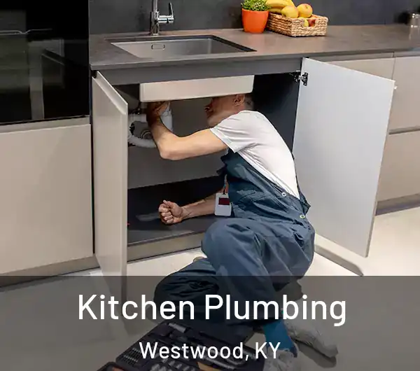  Kitchen Plumbing Westwood, KY