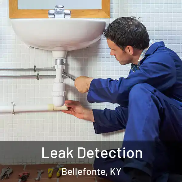  Leak Detection Bellefonte, KY