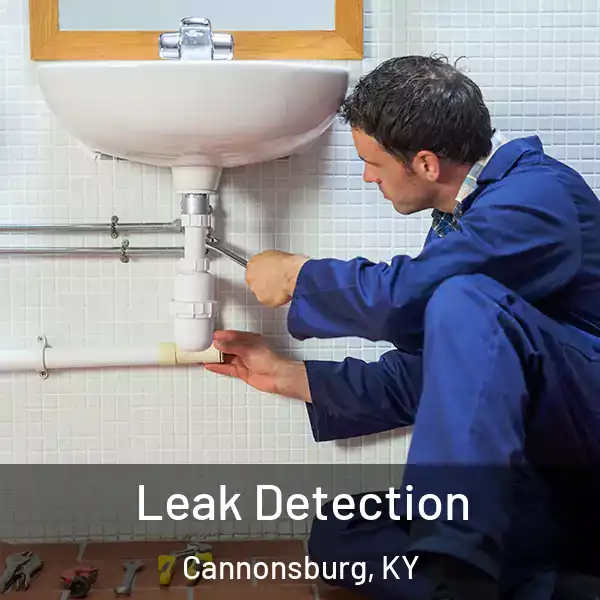  Leak Detection Cannonsburg, KY