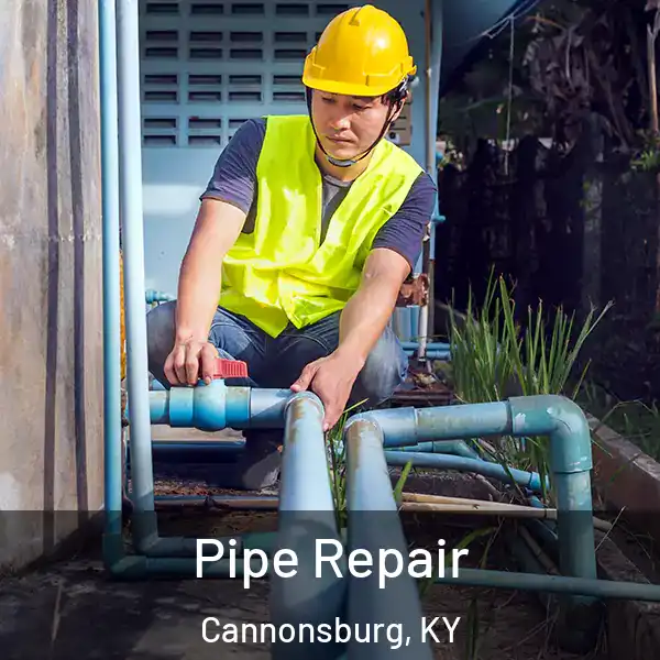  Pipe Repair Cannonsburg, KY