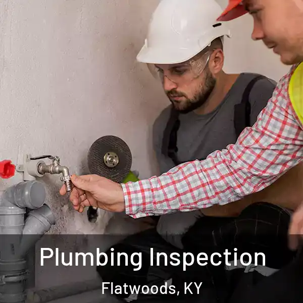  Plumbing Inspection Flatwoods, KY