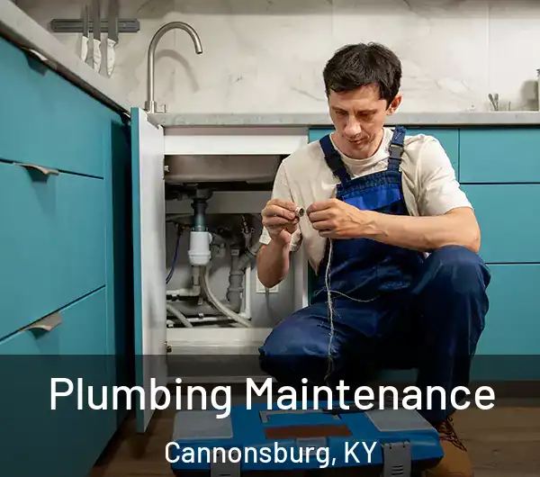  Plumbing Maintenance Cannonsburg, KY