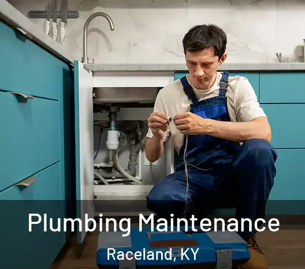  Plumbing Maintenance Raceland, KY