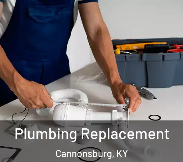  Plumbing Replacement Cannonsburg, KY