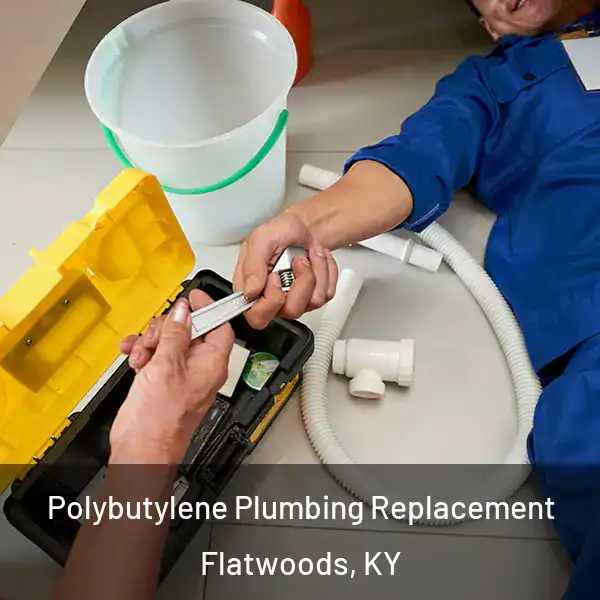  Polybutylene Plumbing Replacement Flatwoods, KY
