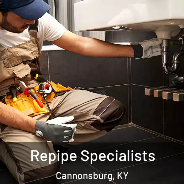  Repipe Specialists Cannonsburg, KY