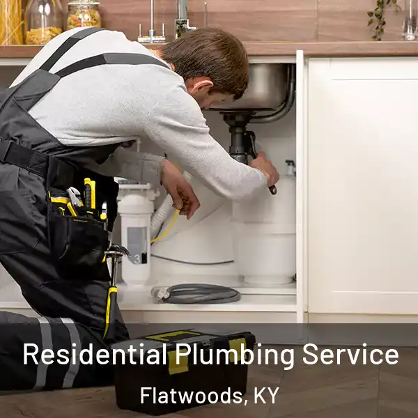 Residential Plumbing Service Flatwoods, KY