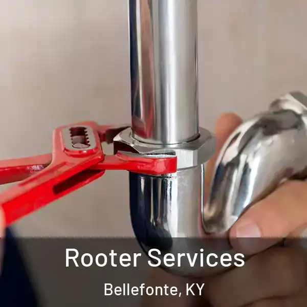  Rooter Services Bellefonte, KY