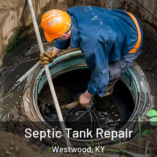  Septic Tank Repair Westwood, KY