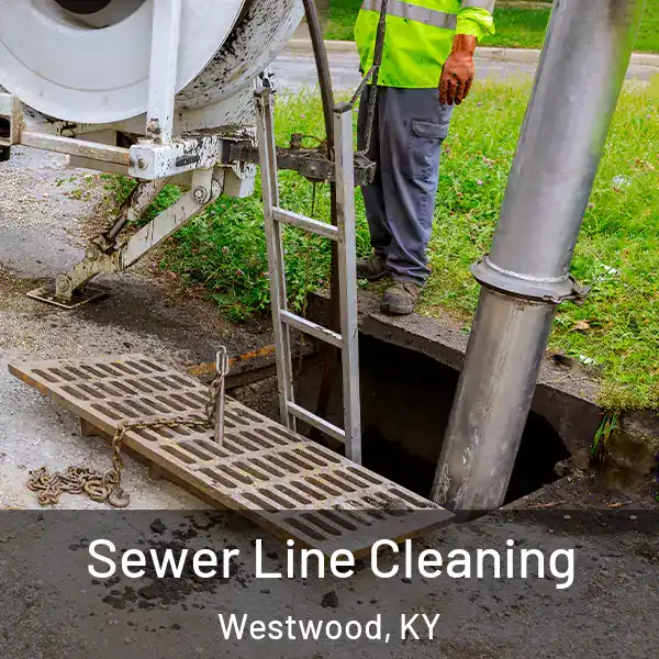  Sewer Line Cleaning Westwood, KY