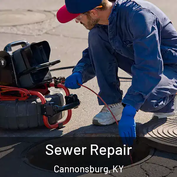  Sewer Repair Cannonsburg, KY