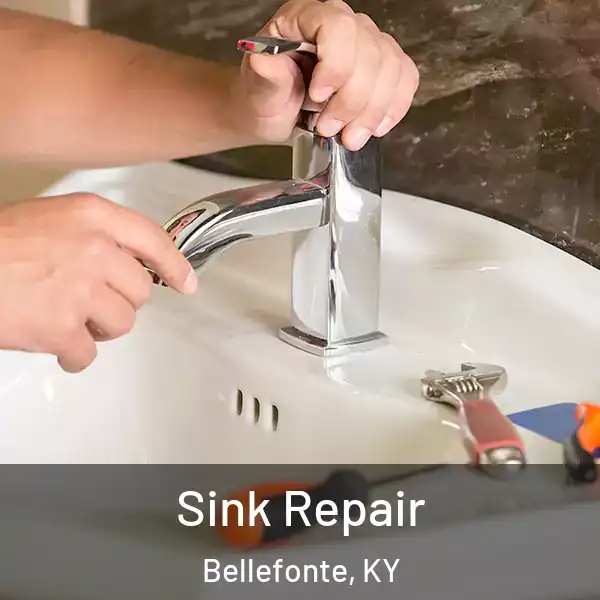  Sink Repair Bellefonte, KY