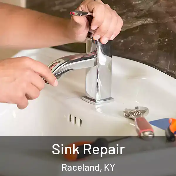  Sink Repair Raceland, KY