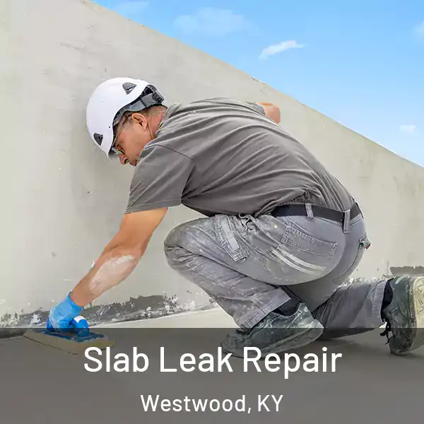  Slab Leak Repair Westwood, KY