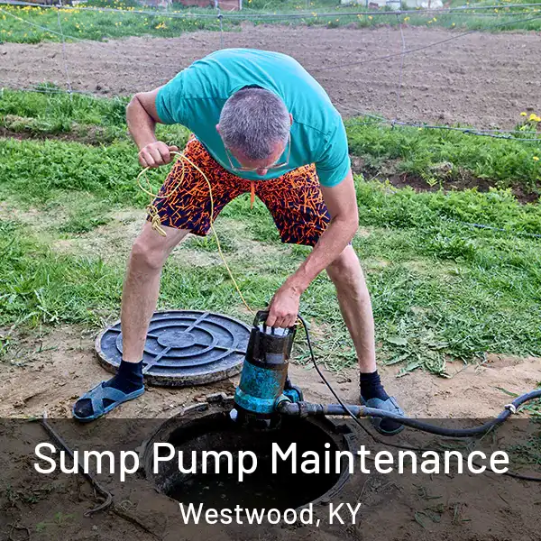  Sump Pump Maintenance Westwood, KY
