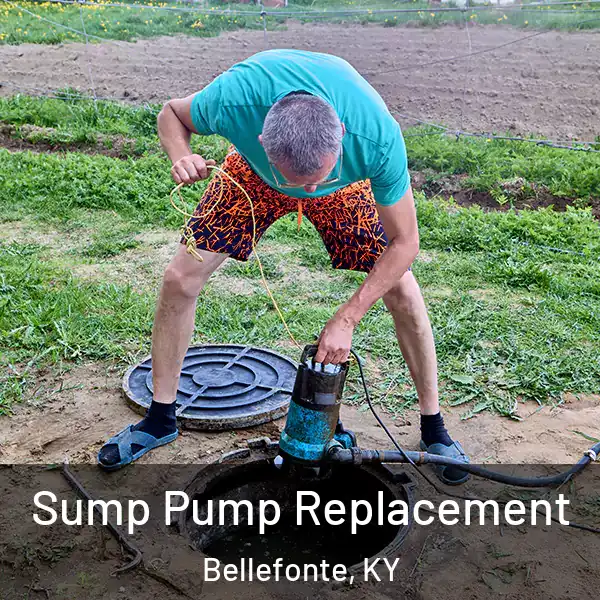  Sump Pump Replacement Bellefonte, KY