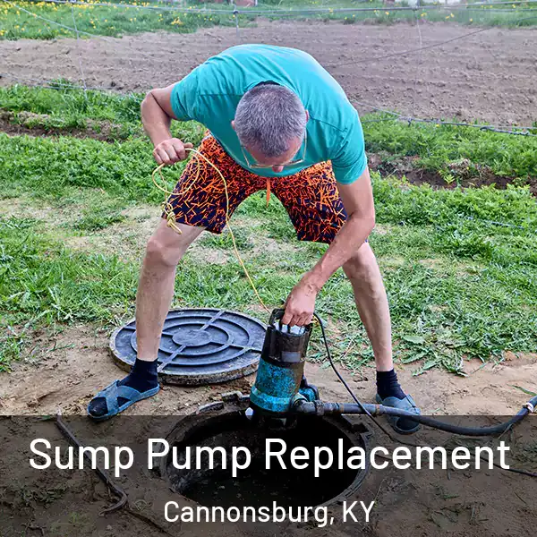  Sump Pump Replacement Cannonsburg, KY