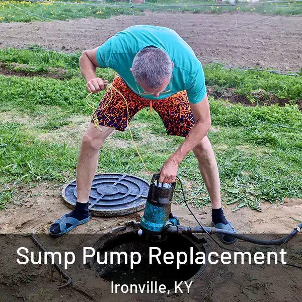  Sump Pump Replacement Ironville, KY