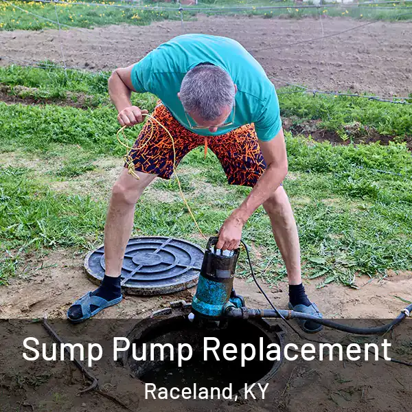  Sump Pump Replacement Raceland, KY
