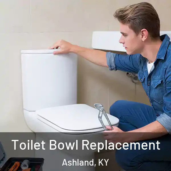  Toilet Bowl Replacement Ashland, KY