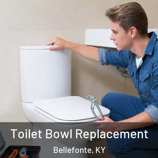  Toilet Bowl Replacement Bellefonte, KY
