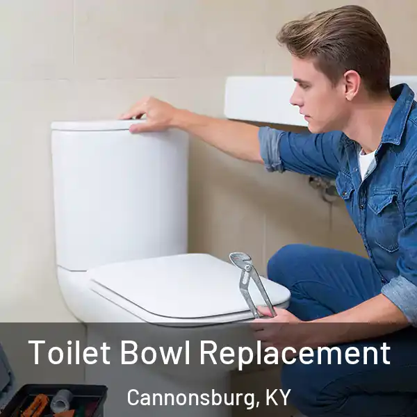  Toilet Bowl Replacement Cannonsburg, KY