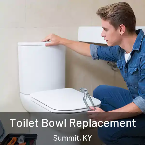  Toilet Bowl Replacement Summit, KY