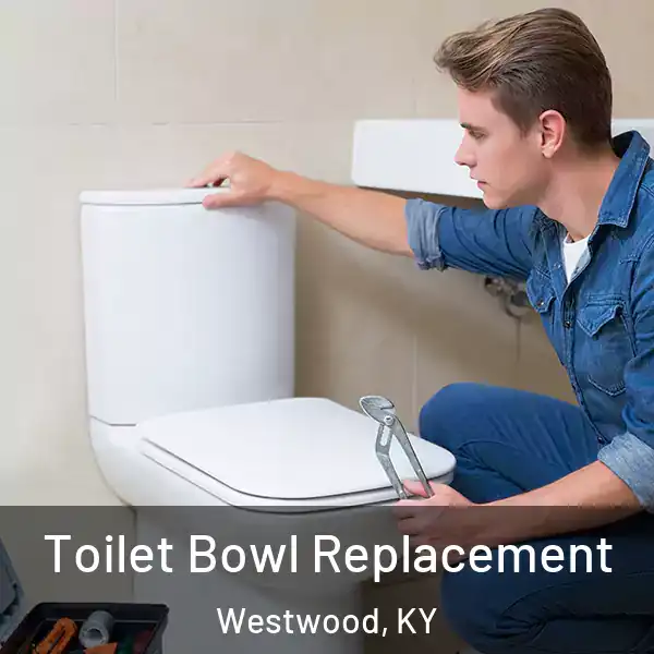  Toilet Bowl Replacement Westwood, KY