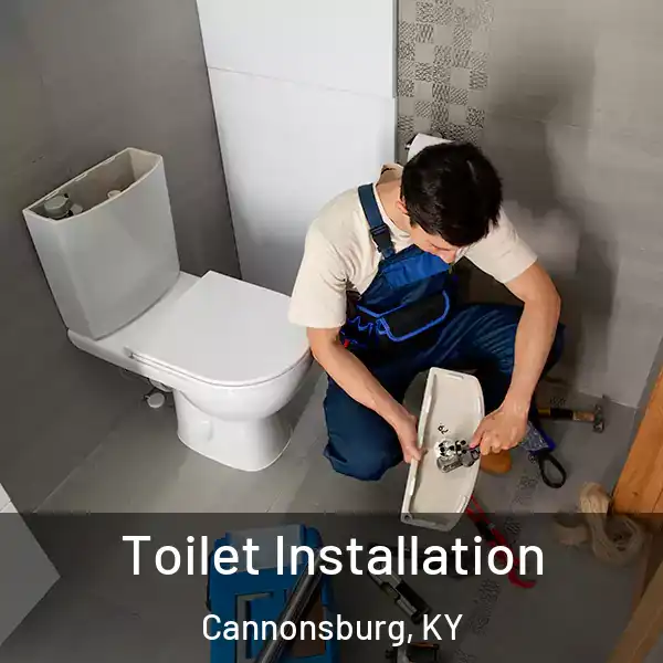  Toilet Installation Cannonsburg, KY