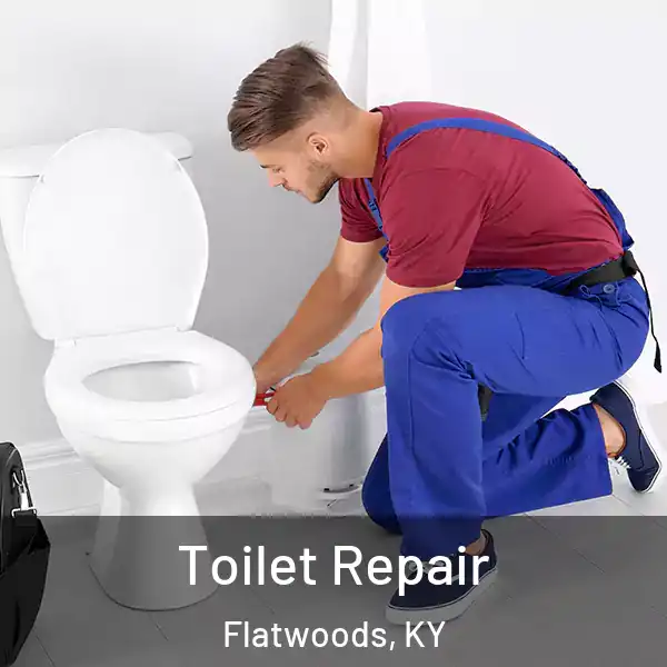  Toilet Repair Flatwoods, KY