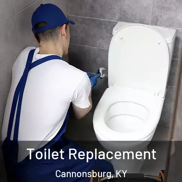  Toilet Replacement Cannonsburg, KY