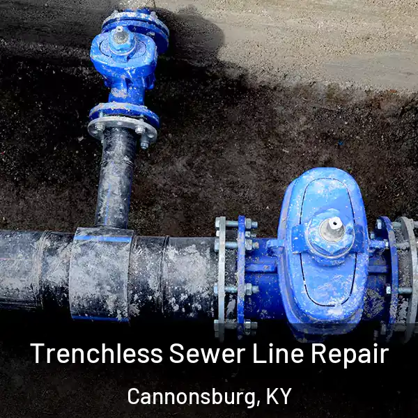  Trenchless Sewer Line Repair Cannonsburg, KY